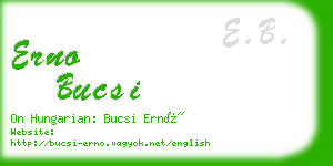 erno bucsi business card